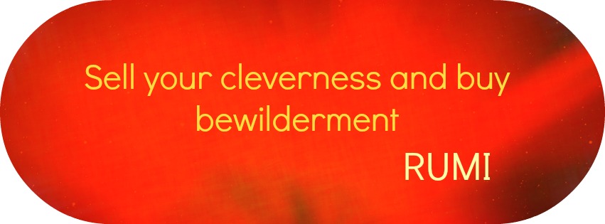 rumi bewilderment